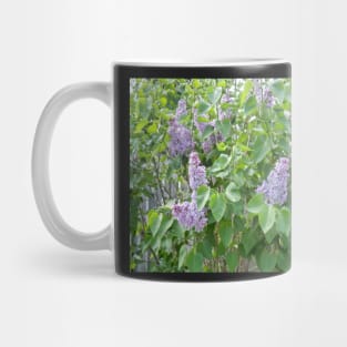 Lilac Mug